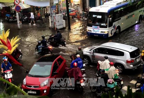 Thành phố Hồ Chí Minh: Mưa lớn kết hợp triều cường gây ngập nặng nhiều nơi ảnh 1